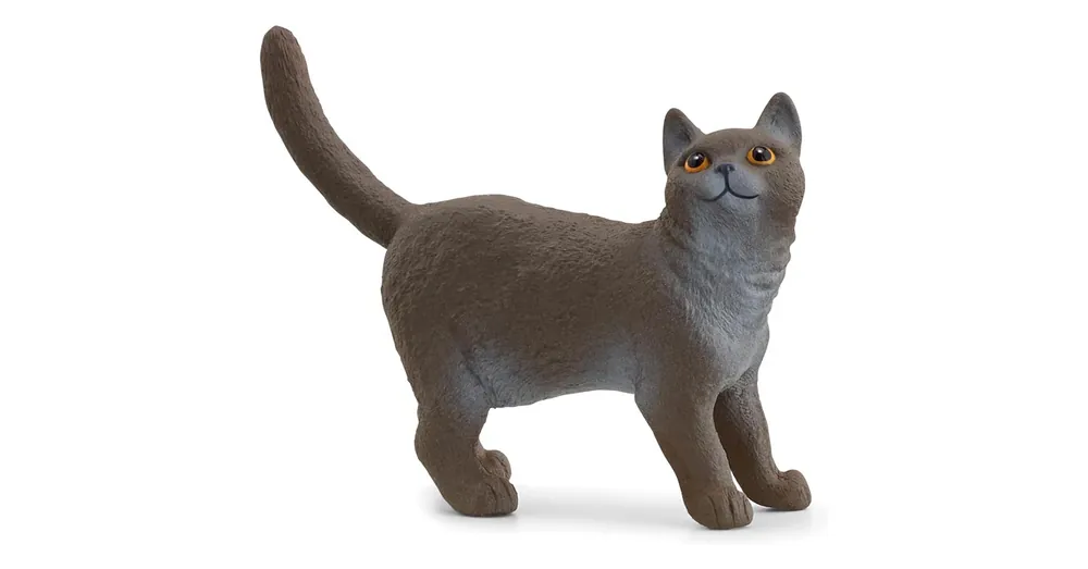 Schleich Brit rövidszőrű macska figura (13973) Rendeld meg most