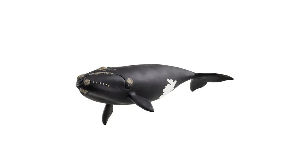 Schleich Észak-atlanti bálna figura (14878) Biztonságos fizetés