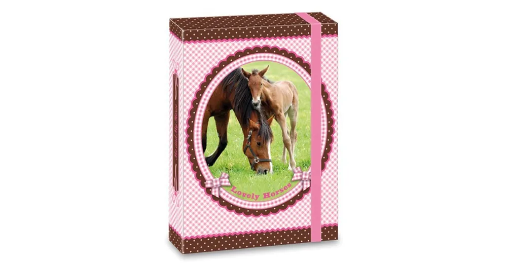 Különleges ajánlat My Horse füzetbox A5-ös