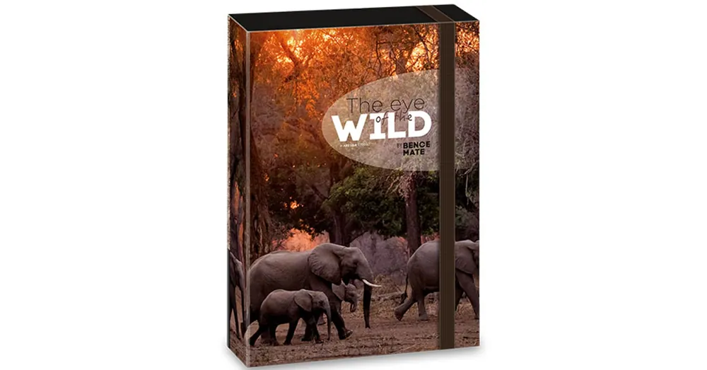 Szuper ajánlat Ars Una Máté Bence The Eyes of the Wild – Elefánt füzetbox A/4