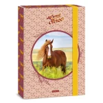 Ajánlat Ars Una My Sweet Horse Lovas A4 füzetbox