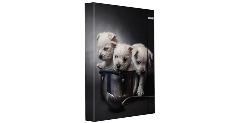 Újdonság Spirit Kiskutyusok füzetbox gumipánttal A/4-es méretben