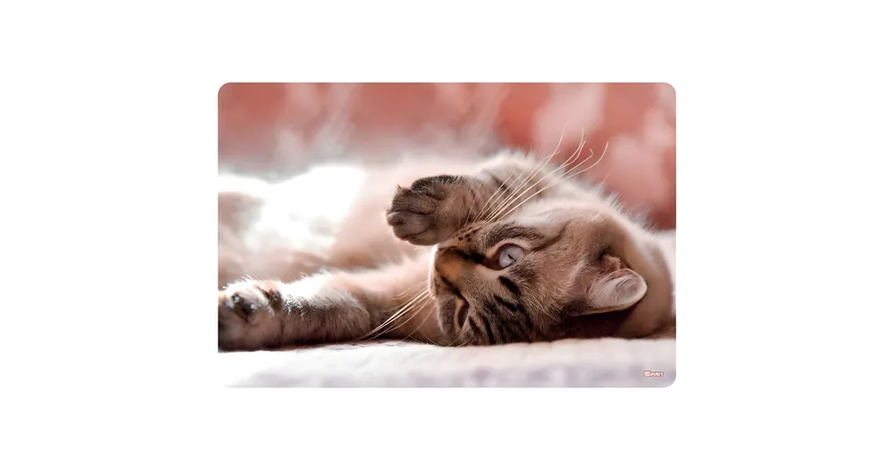 Olcsóbb Spirit Little Cat asztali könyöklő 60×40 cm