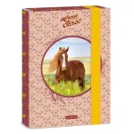 Akciós ár Ars Una My Sweet Horse A5 füzetbox